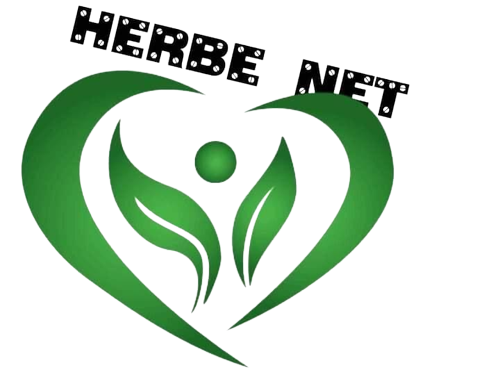 Logo partenaire